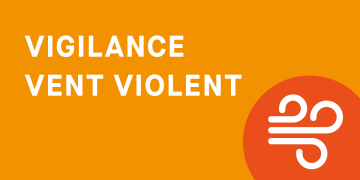 Vigilance vent violent