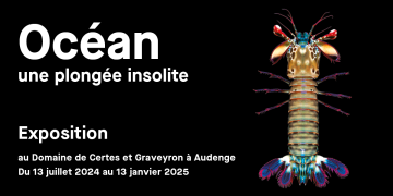 Océan une plongée insolite Exposition du domaine de Certes et Graveyron à Audenge. Du 13 juillet 2024 au 13 janvier 2025.