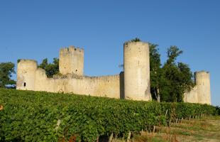 château de Budos en Gironde au milieu des vignes