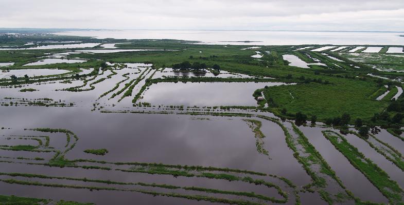 vue aérienne du delta de la Leyre