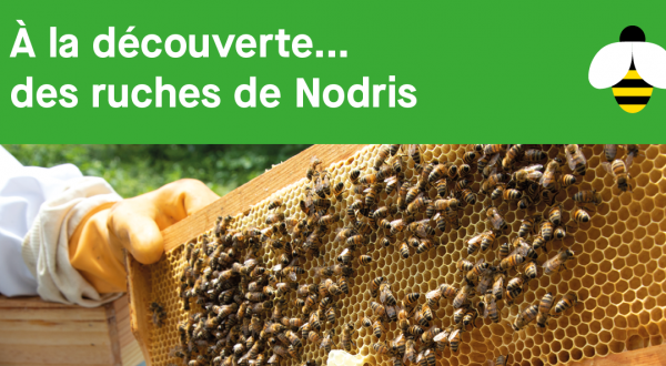 A la découverte des ruches de Nodris