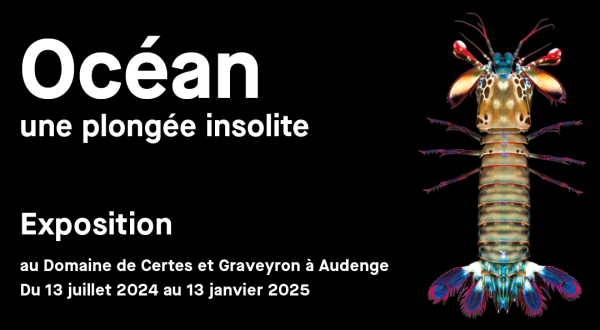 Océan une plongée insolite Exposition du domaine de Certes et Graveyron à Audenge. Du 13 juillet 2024 au 13 janvier 2025.