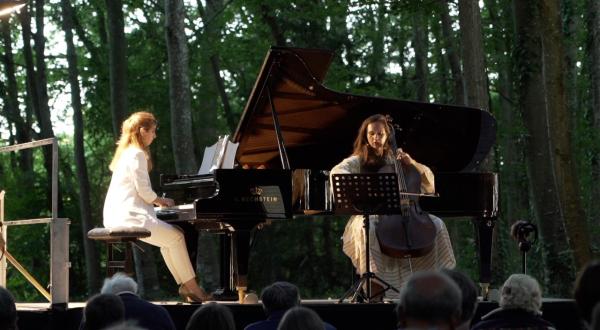 Le silence de la forêt