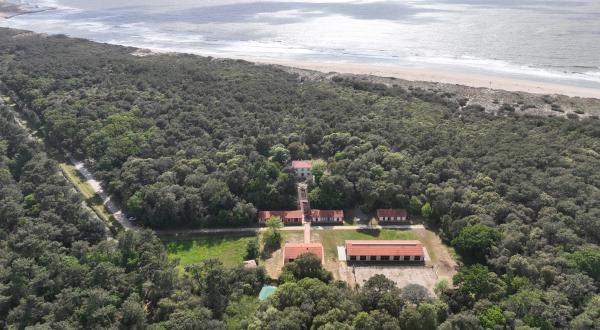 La forêt dunaire et le littoral