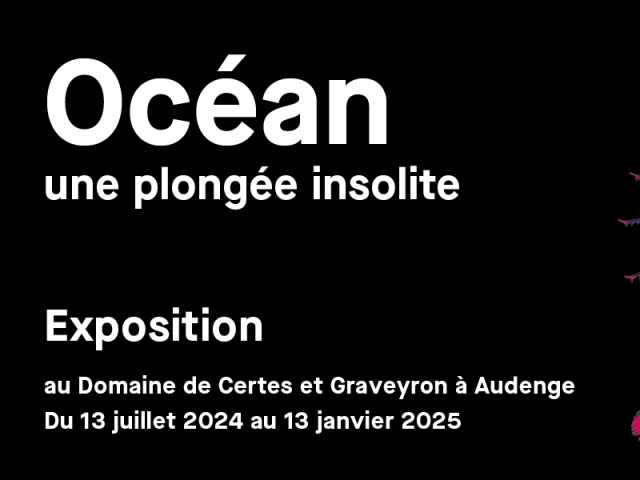 Océan une plongée insolite Exposition du domaine de Certes et Graveyron à Audenge. Du 13 juillet 2024 au 13 janvier 2025.